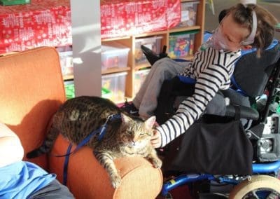 The therapeutic value of cuddling and stroking a therapy cat at our children’s hospice