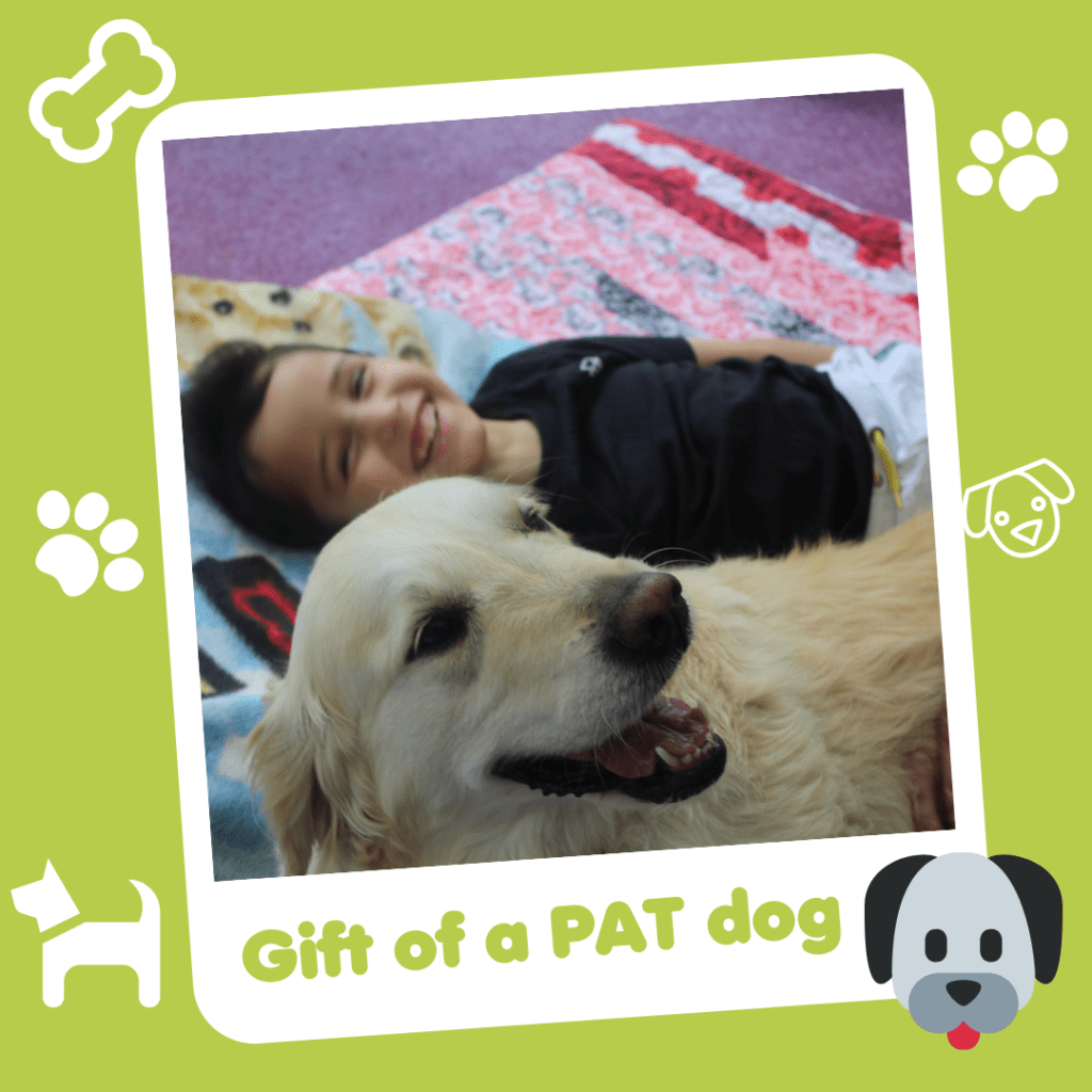 Gift of a PAT Dog