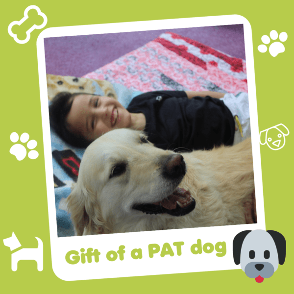 'Gift of a PAT dog' graphic showing a smiley boy with a therapy dog, part of Charity Gift Cards