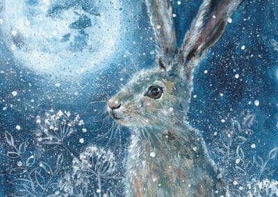 Midnight Hare Cards